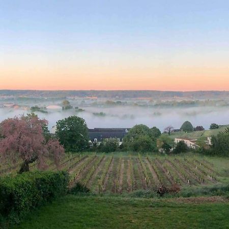 Maison Vue Panoramique Depuis Le Coteau De Chinon Kültér fotó
